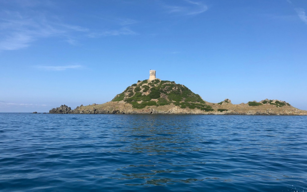 Randonnée 2 heures Capo di Feno - Photo 25