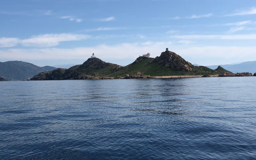 Randonnée 2 heures Capo di Feno - Photo 66