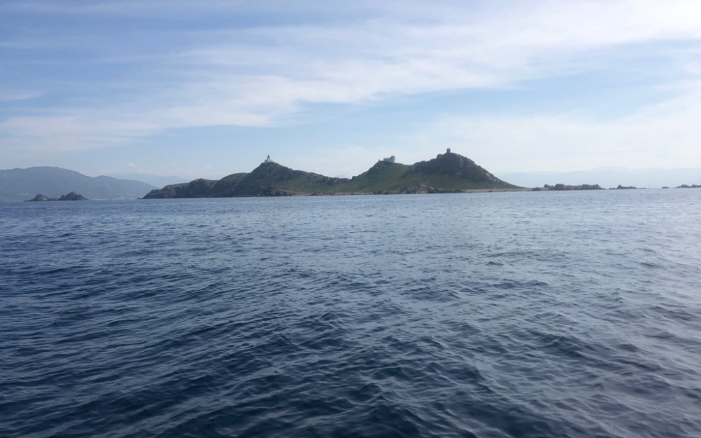 Randonnée 2 heures Capo di Feno - Photo 31