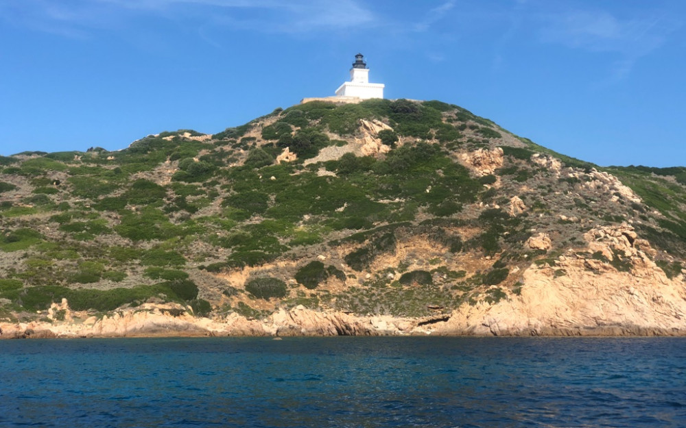 Randonnée 2 heures Capo di Feno - Photo 15