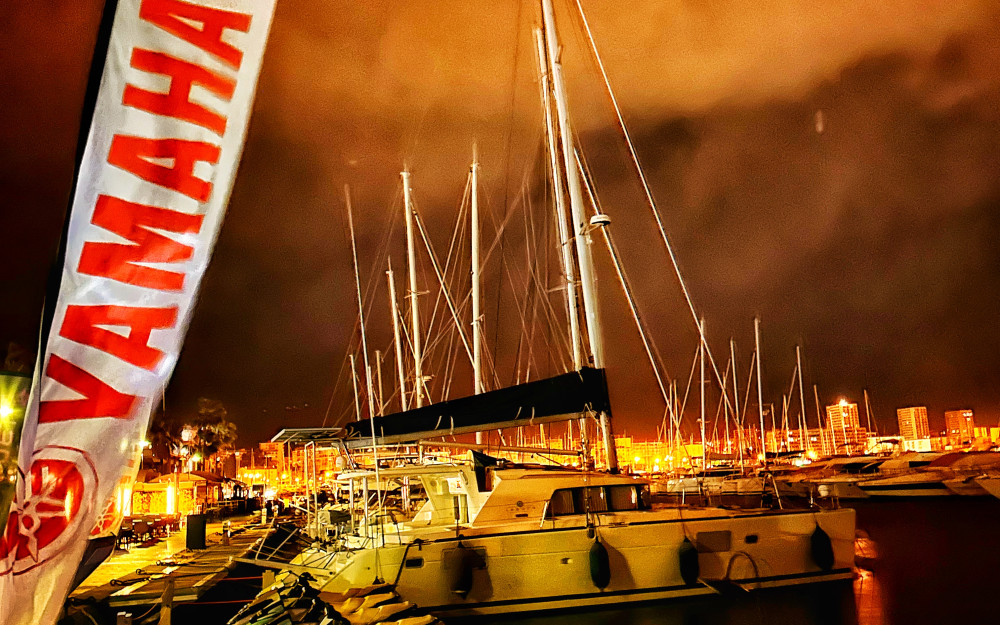 Saison 2K24 - Photo 3